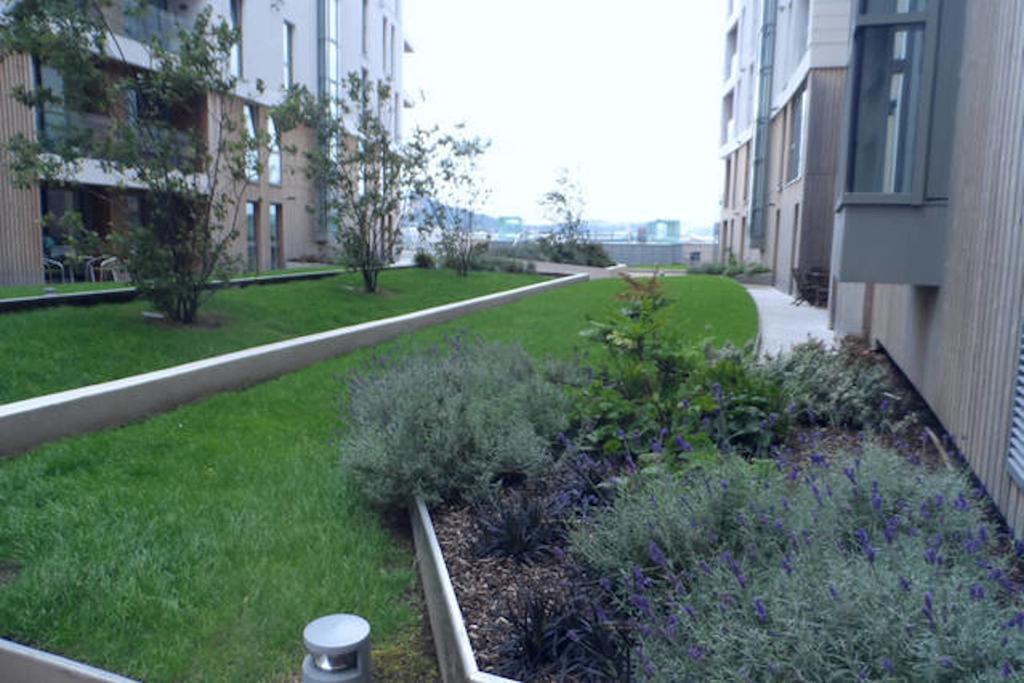 Ck Serviced Apartments Belfast Kültér fotó